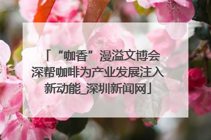 “咖香”漫溢文博会 深帮咖啡为产业发展注入新动能_深圳新闻网